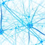 Neurons show how functional neurology can help treat concussions